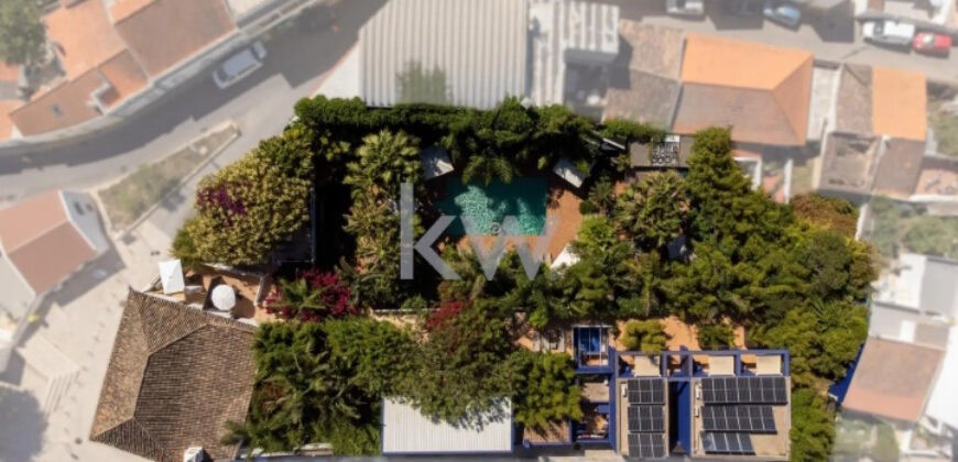 Majestoso Hotel com Jardim Tropical