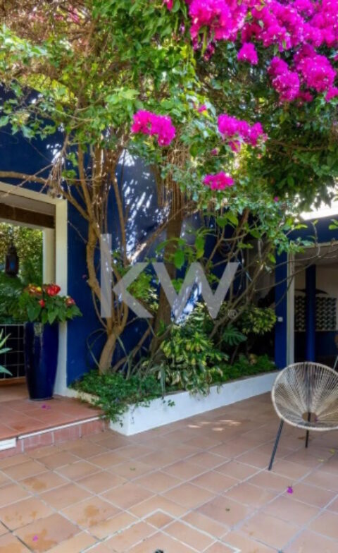 Majestoso Hotel com Jardim Tropical