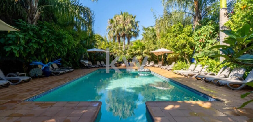 Majestoso Hotel com Jardim Tropical