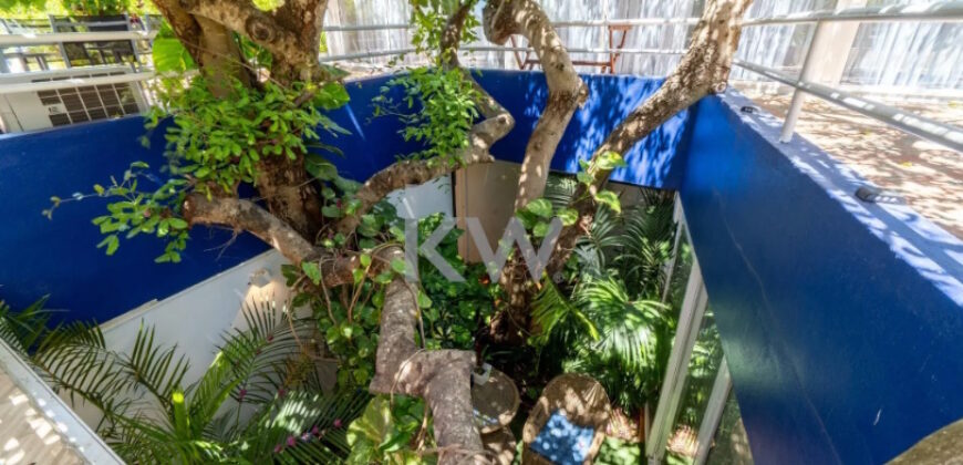 Majestoso Hotel com Jardim Tropical