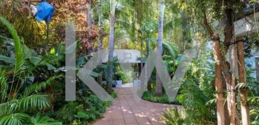 Majestoso Hotel com Jardim Tropical